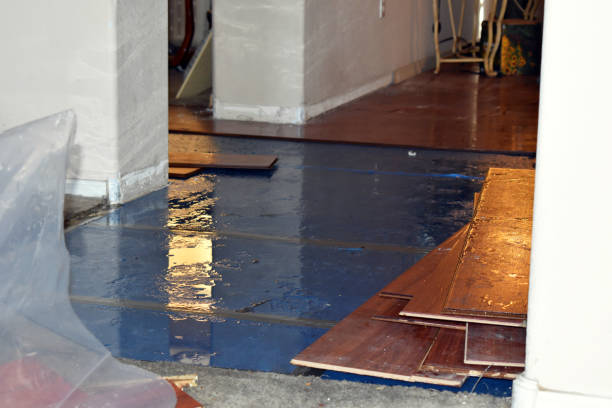 Professional Crawl Space Water Removal technician working in Grant, FL